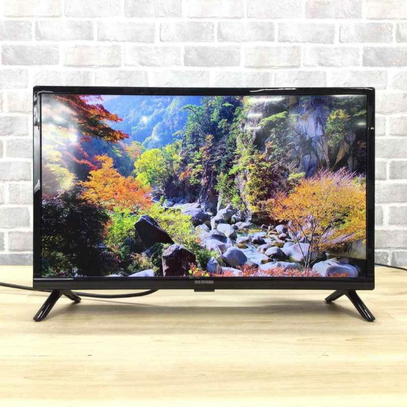 IRISOHYAMA 液晶テレビ 24インチ 24WB10 2021年式