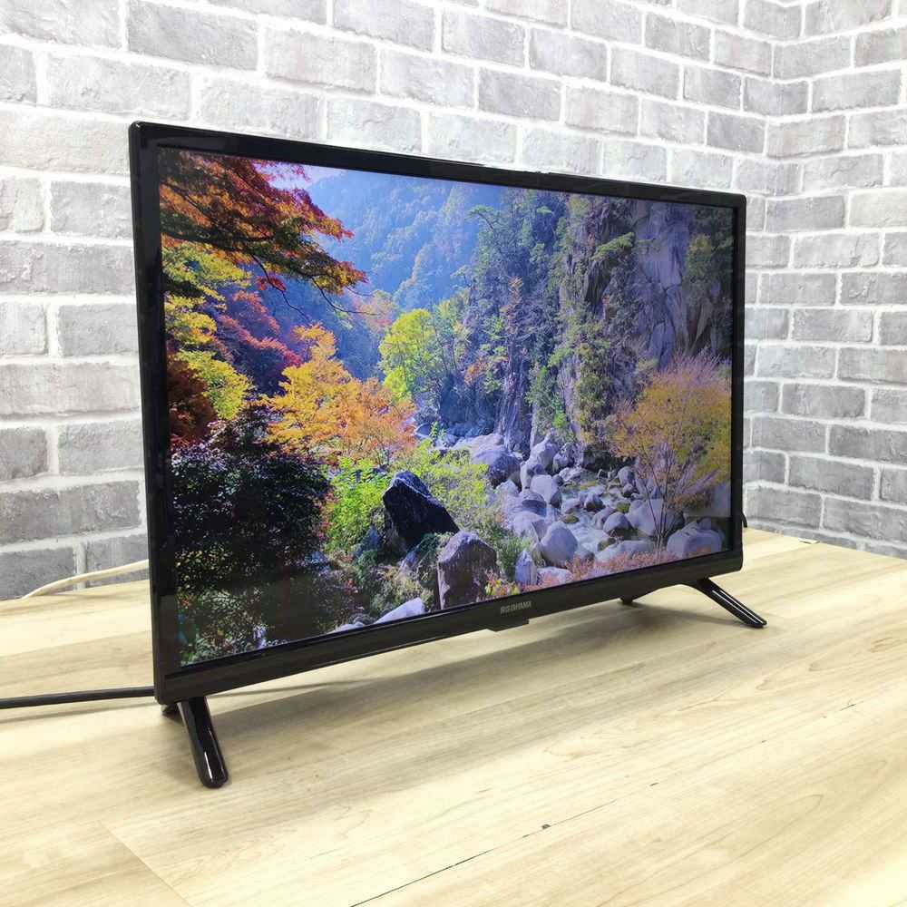 IRISOHYAMA 液晶テレビ 24インチ 24WB10 2021年式