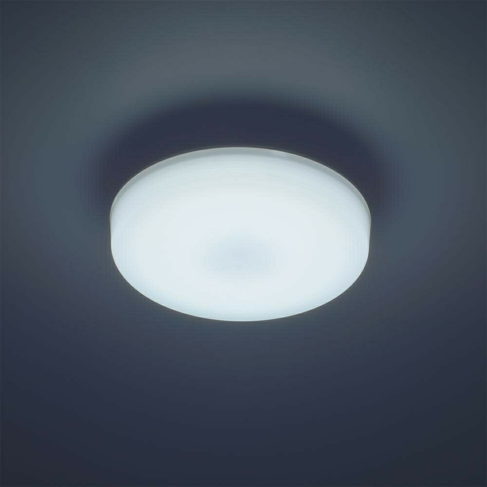 オーム電機 LEDミニシーリングライト 1650lm 昼光色