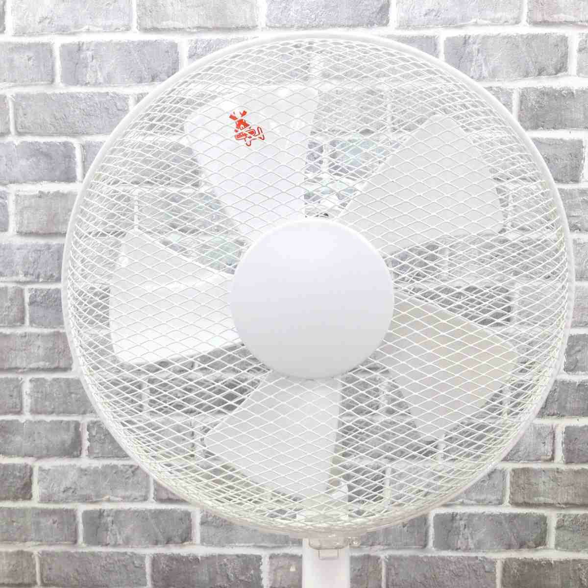 ヤマゼン リビング扇風機 ホワイト YLT-C30 2024年製