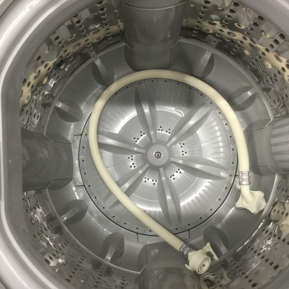 東芝 洗濯機 4.5kg 縦型 ホワイト AW-45M7(W) 2019年製